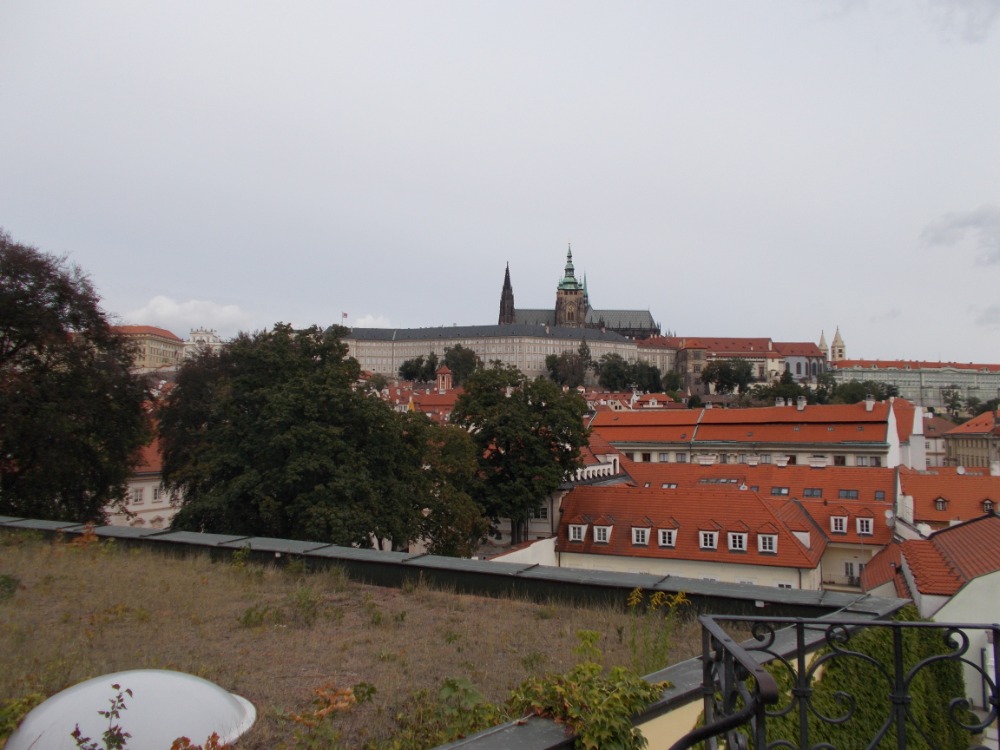 Obrázek #10 z 10