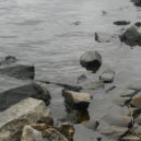 Odra, Visla, Vltava, Labe – pražská flotila nabírá dech - vltava