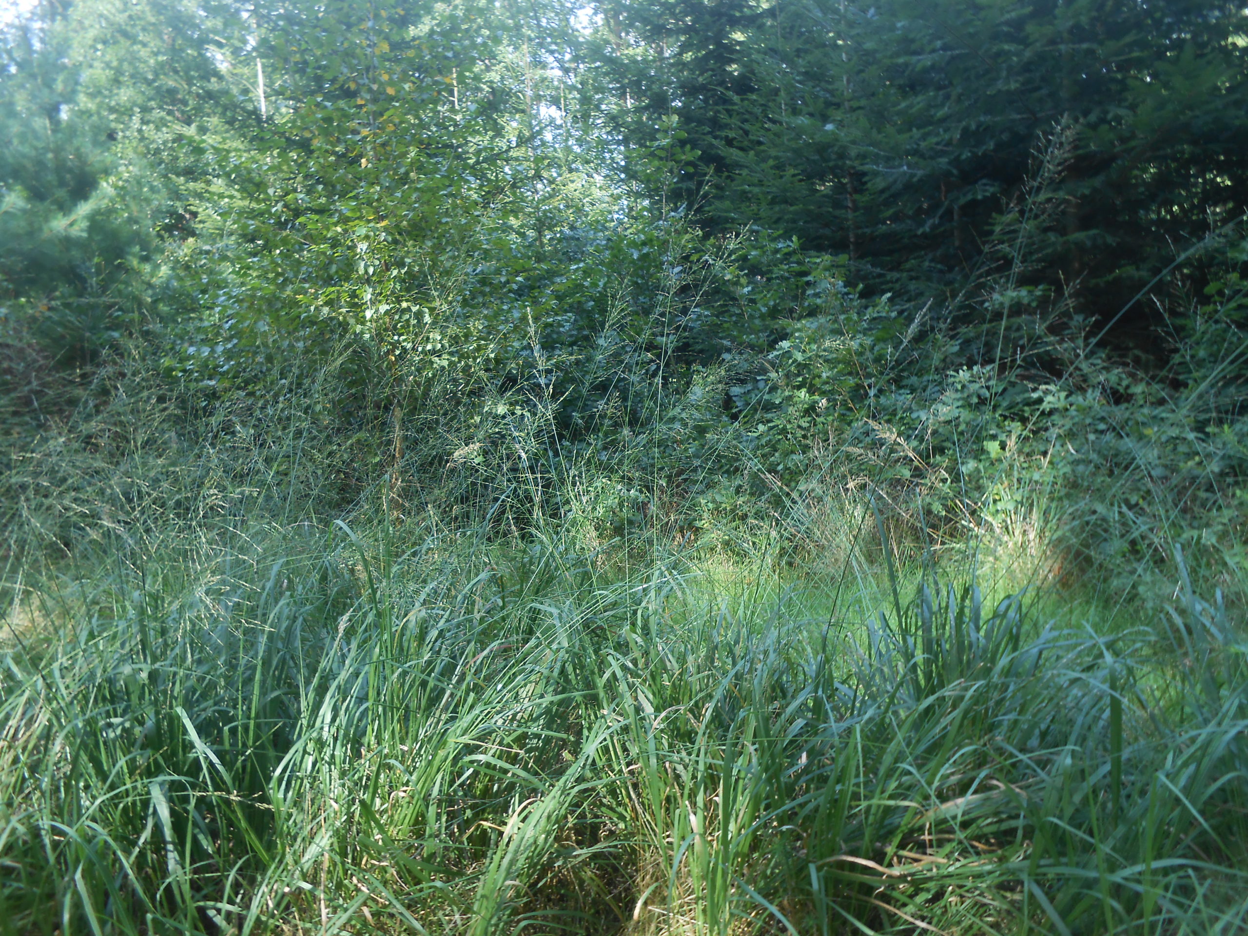 Obrázek #8 z 10