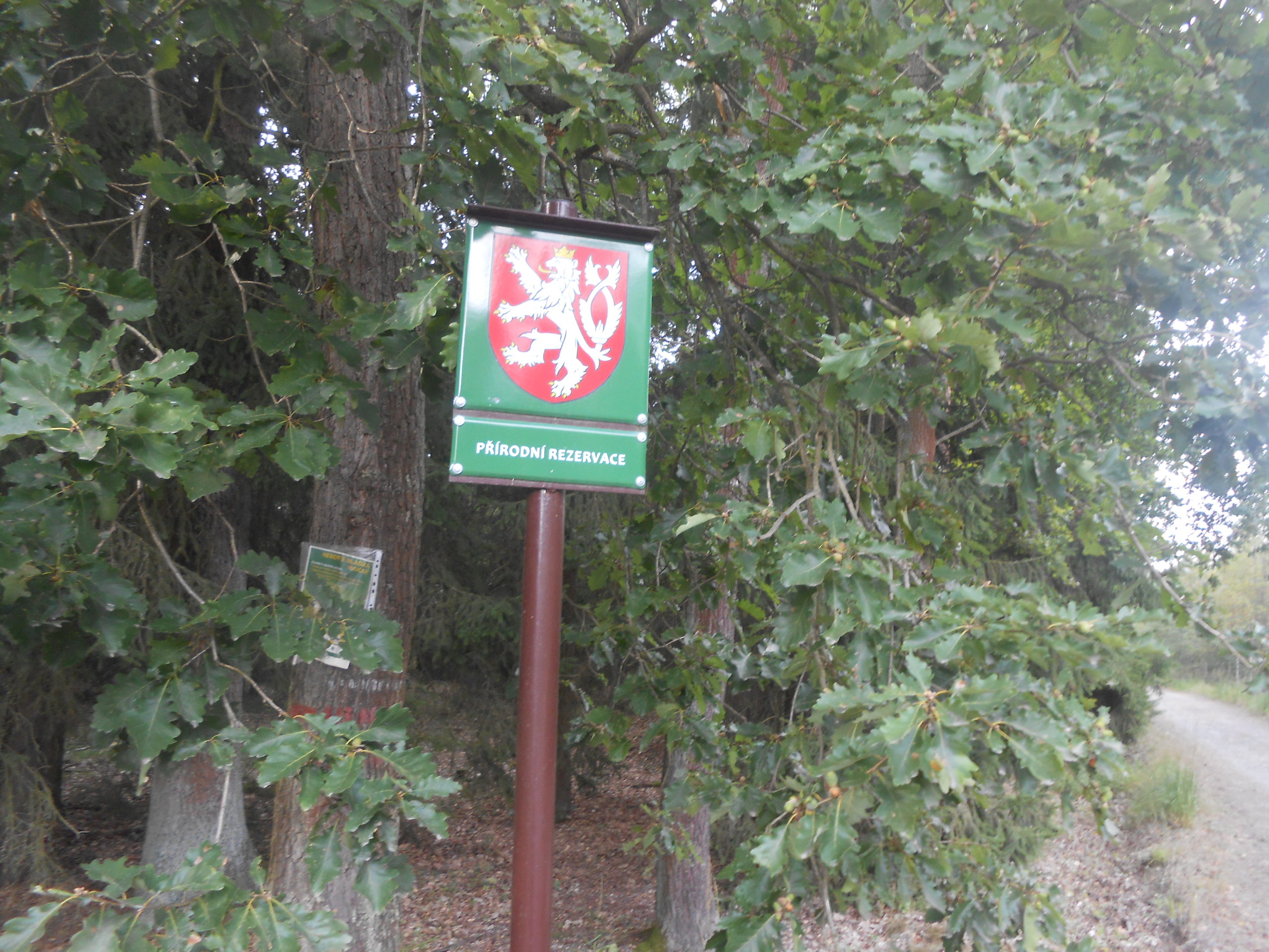 Obrázek #5 z 10