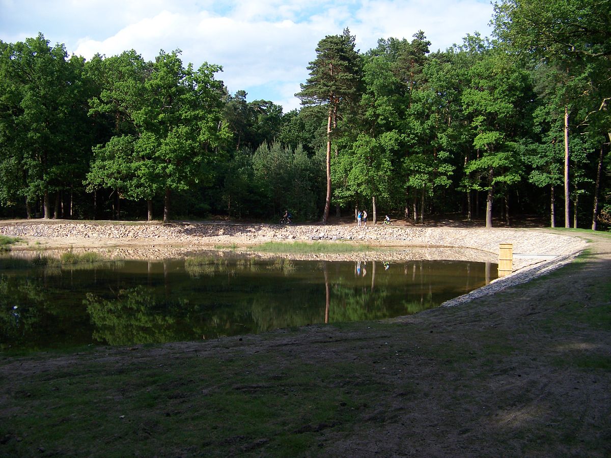 Obrázek #10 z 10
