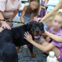 Zabezpečení brandýských akcí v době pandemie - SEVERO~4