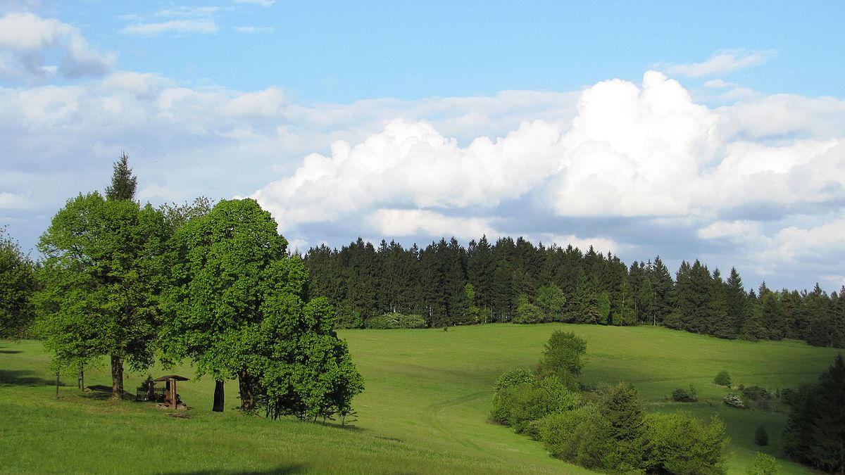 Obrázek #4 z 9