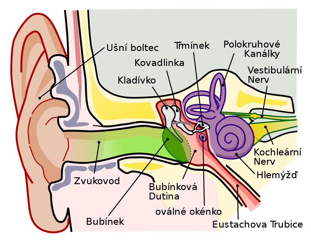 Obrázek #5 z 6