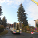 Krásný strom zdobí hořovické náměstí - Hořovice