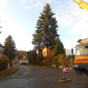 Krásný strom zdobí hořovické náměstí - Hořovice