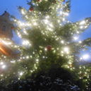 České Vánoce a Josef Lada - DSCN0182