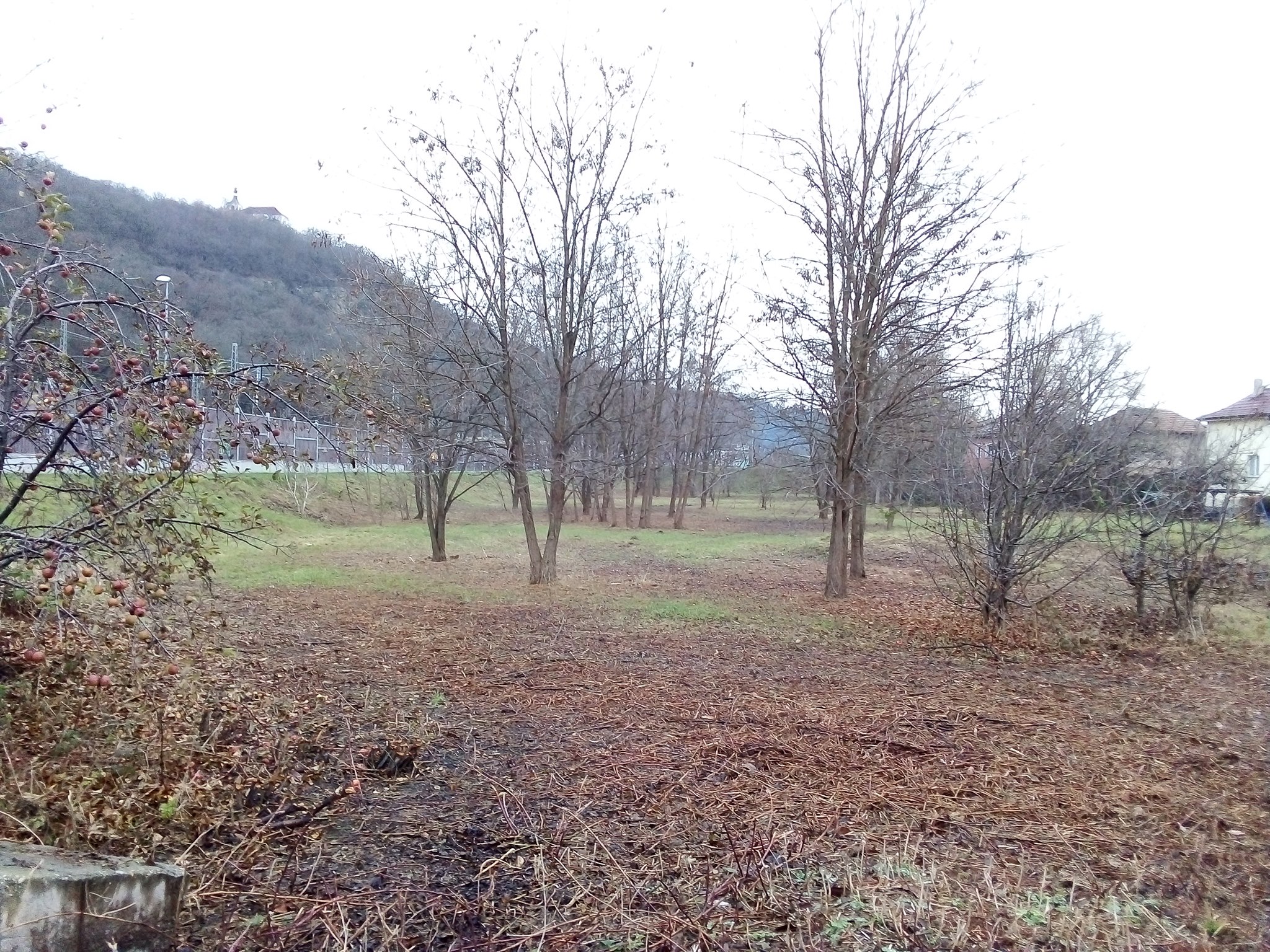 Obrázek #2 z 3