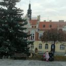Hořovice mají unikátní vánoční výzdobu - hořovice, vánoce