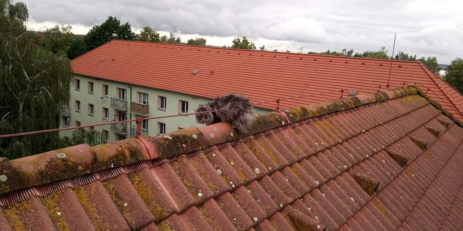 Obrázek #2 z 5