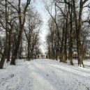 Zámecká alej v Hořovicích je nejkrásnější ve Středočeském kraji - alej2