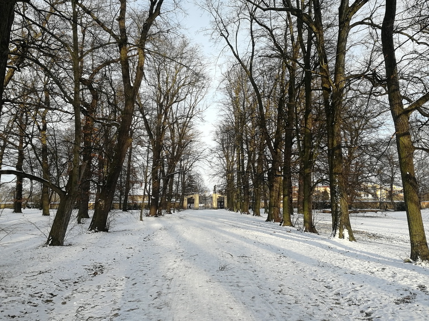 Obrázek #3 z 7