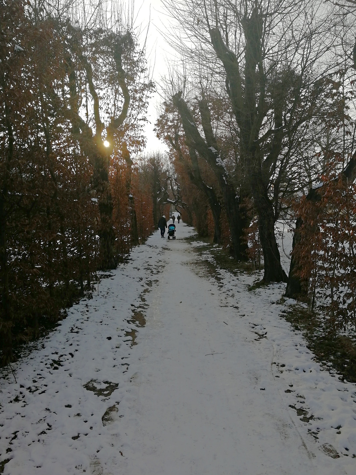 Obrázek #5 z 7