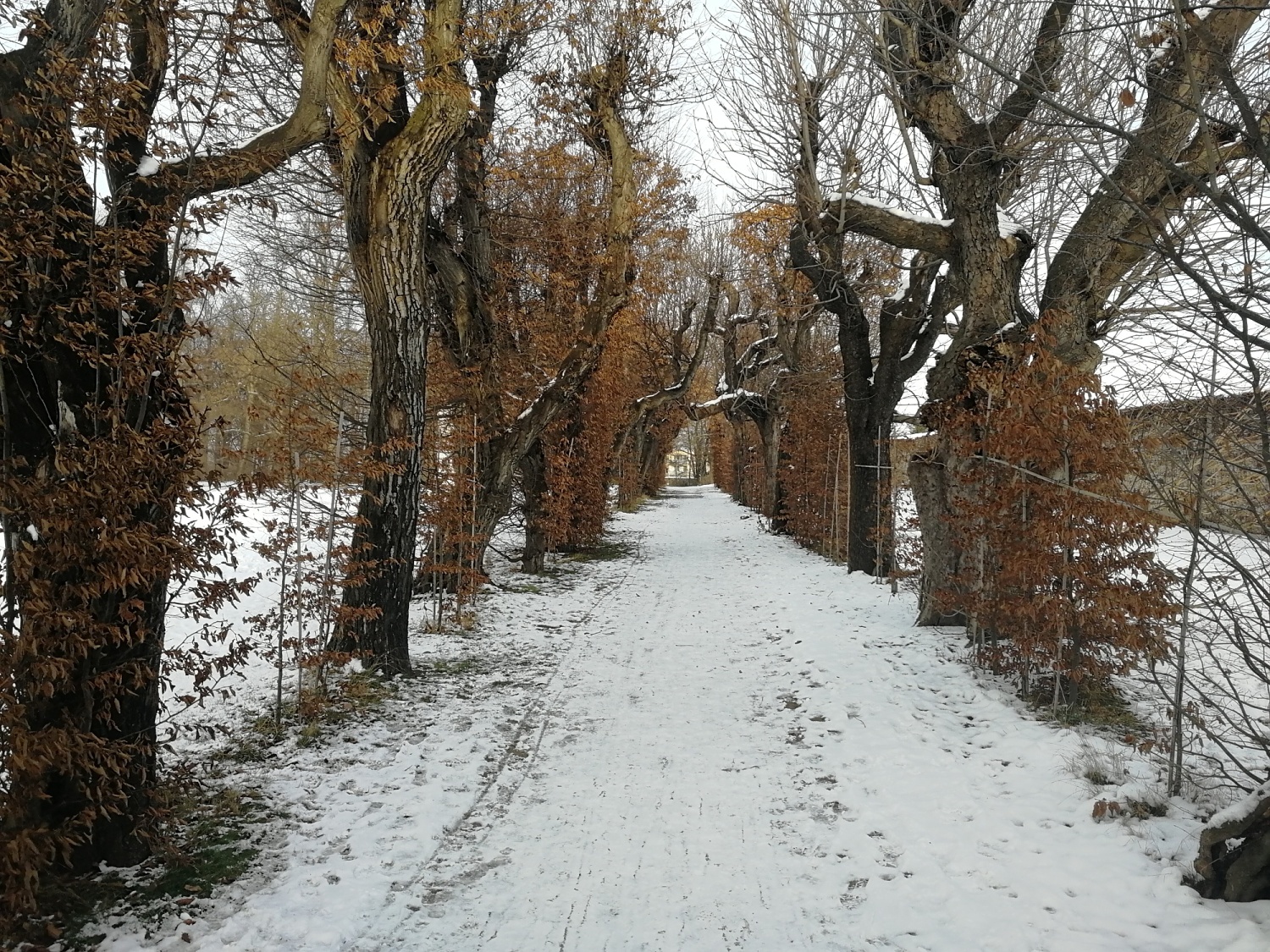 Obrázek #6 z 7