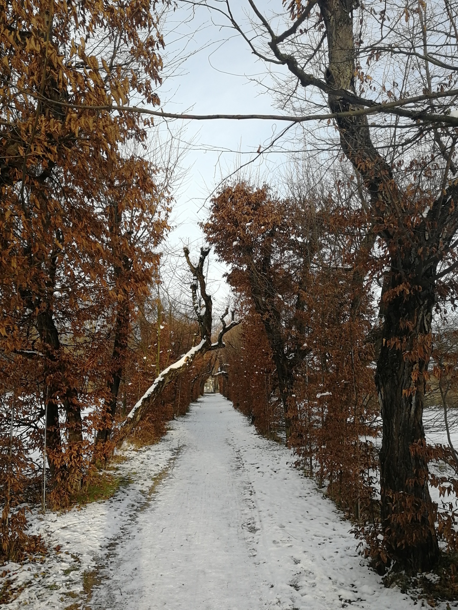 Obrázek #7 z 7