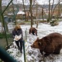 Děti v Berouně nezapomněly na medvědí narozeniny - medvědi 15