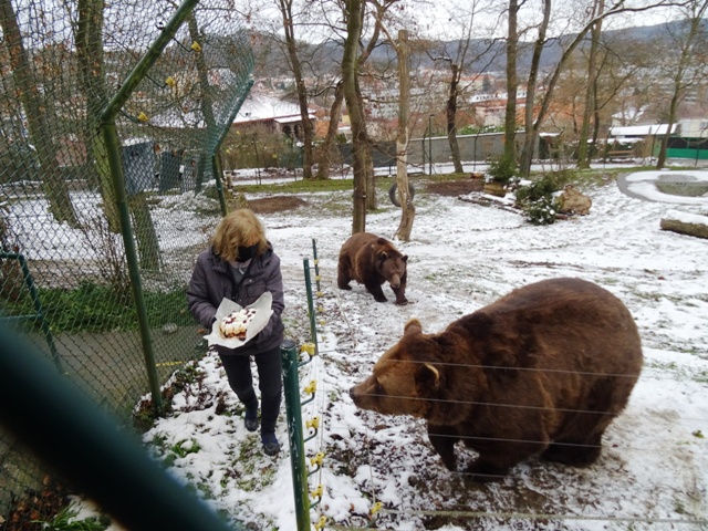 Obrázek #13 z 13