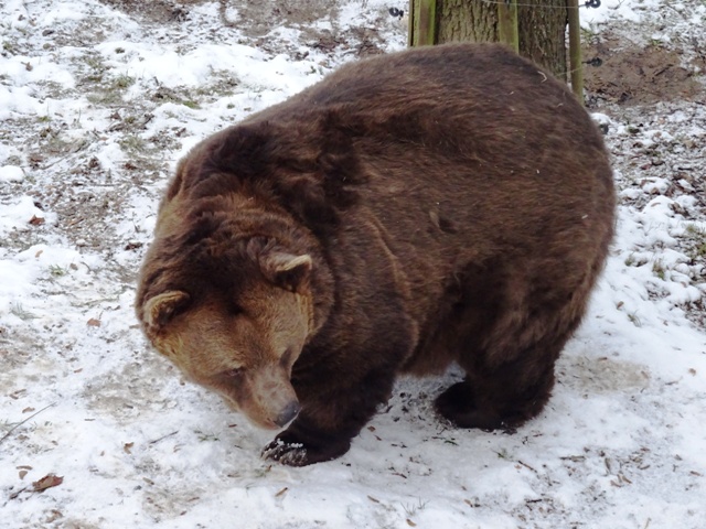 Obrázek #3 z 13
