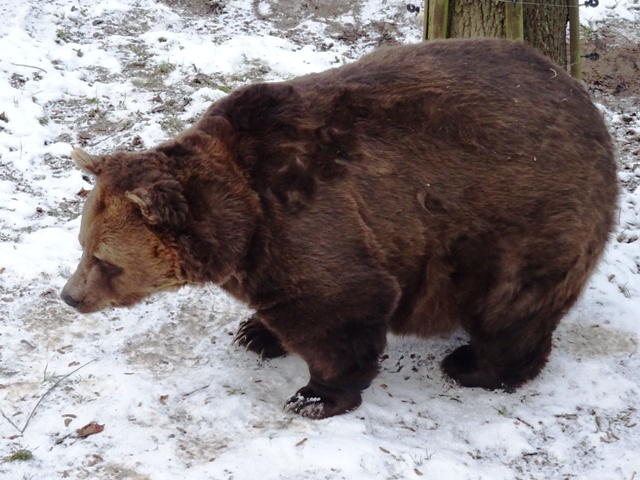 Obrázek #5 z 13