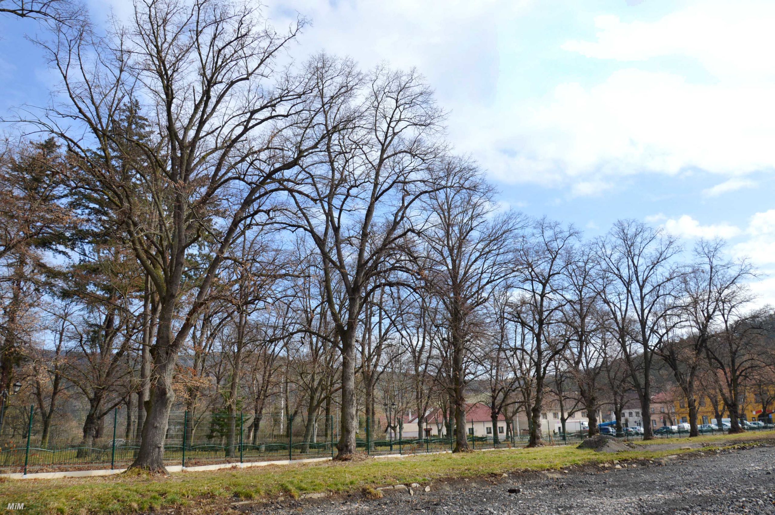 Obrázek #5 z 5