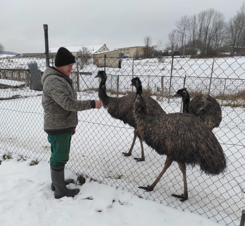 Obrázek #2 z 5
