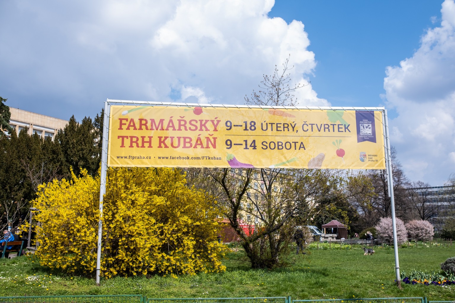 Obrázek #4 z 4