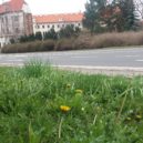 Velikonoční mozaika z Kutné Hory - 20210405_153112