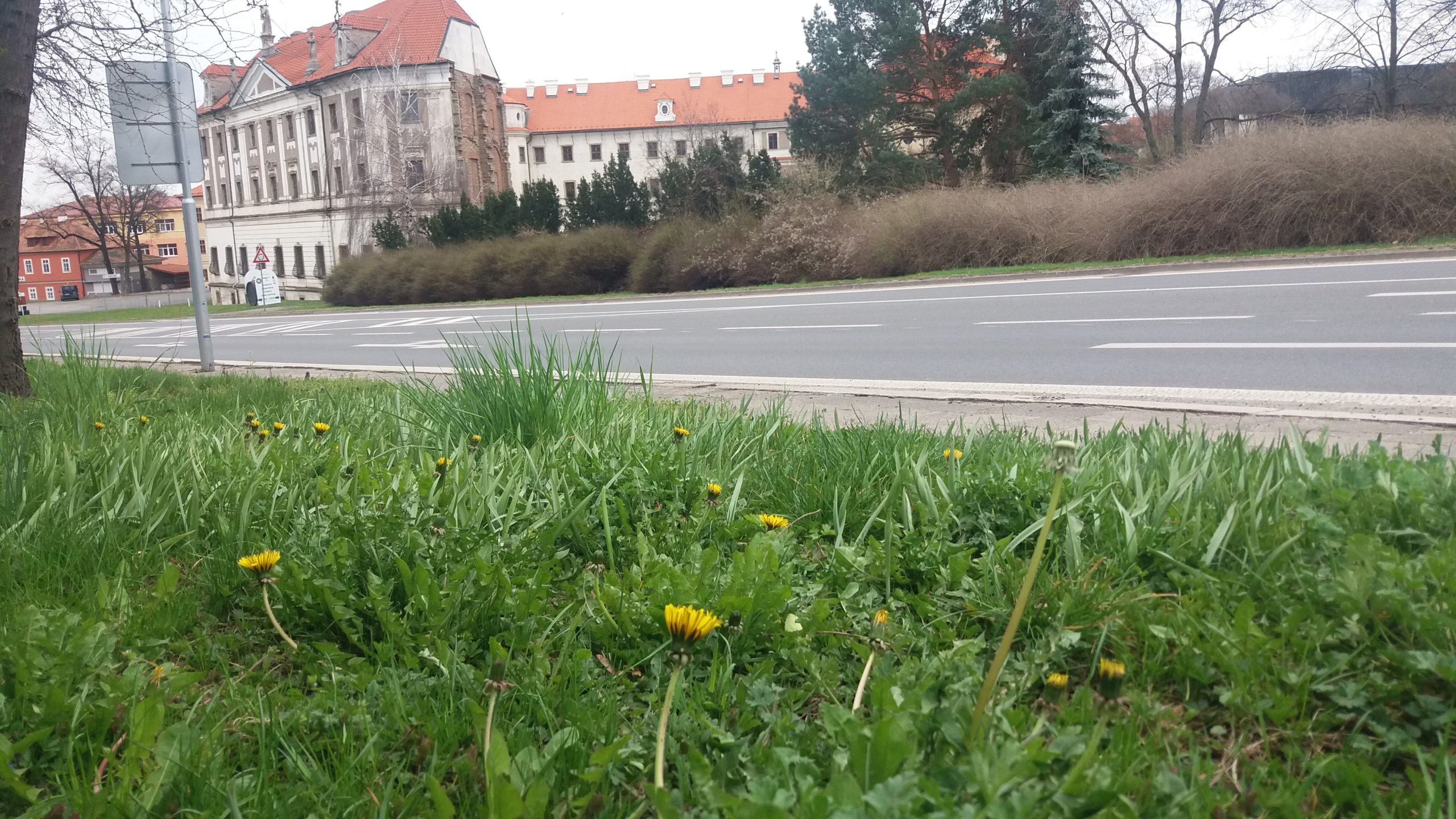 Obrázek #15 z 17