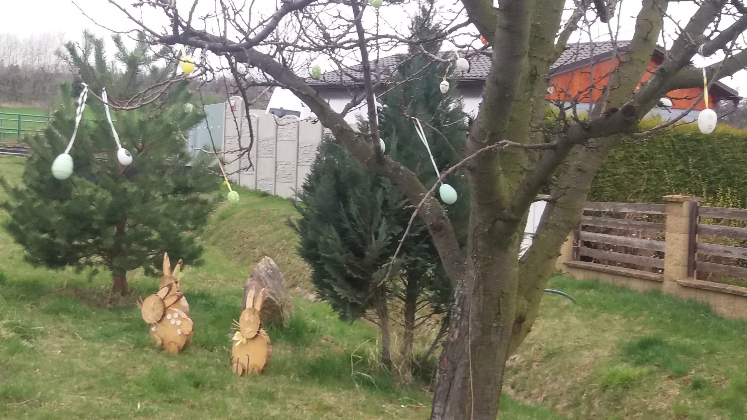 Obrázek #5 z 17
