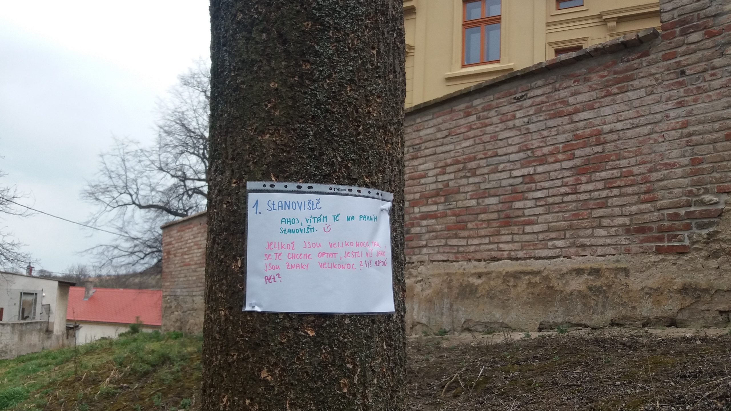Obrázek #13 z 17