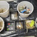 V boji s pohozeným odpadem pomůže nová litteringová studie - Littering