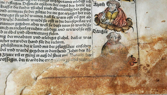 0 lib 1621532830_Schedel_detail_pre