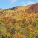 Hamrštejn (a Kryštofovo údolí) - 5 106_7144