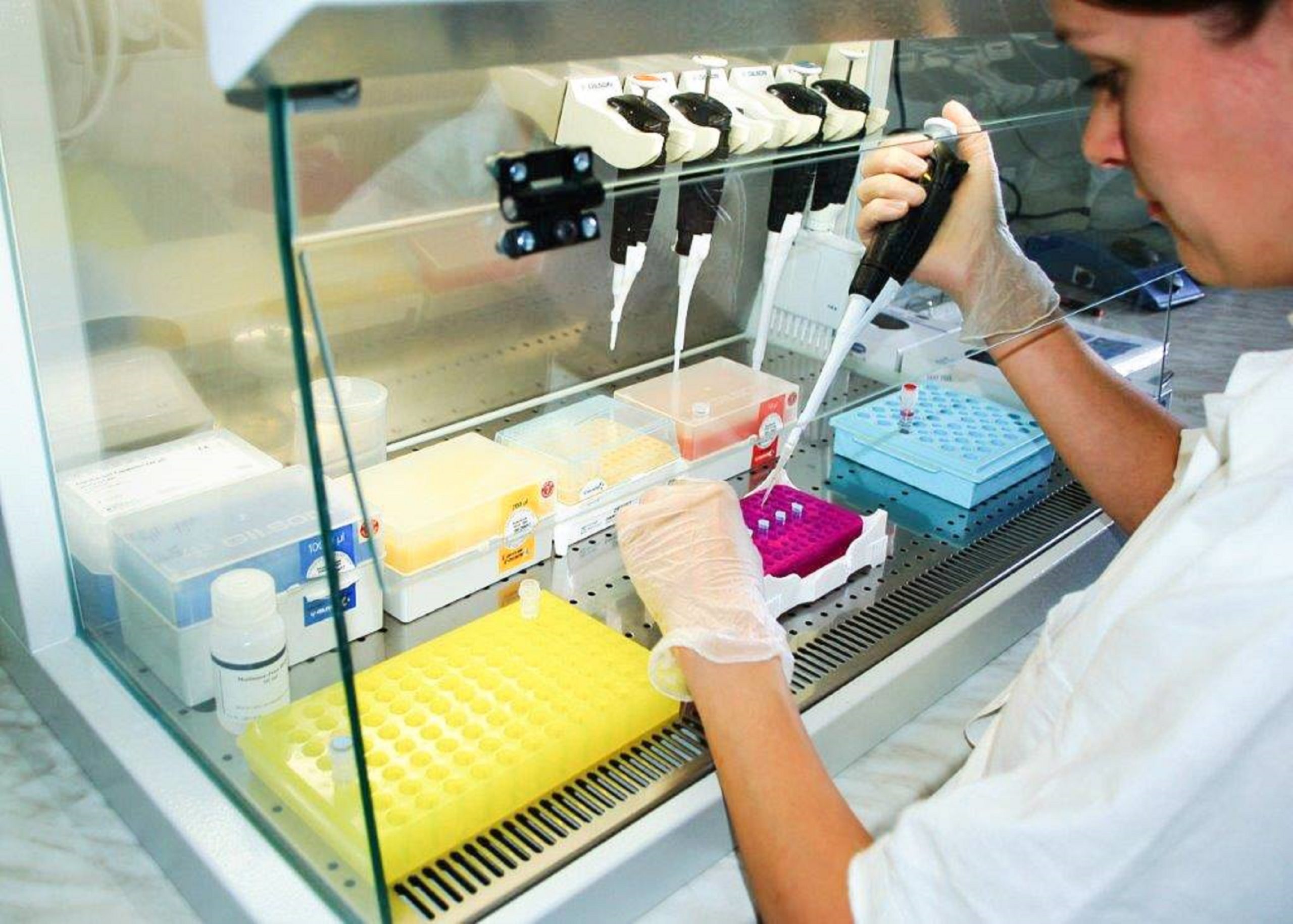 Laboratorní vyšetření vzorků