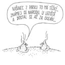 SORRY léto 2021 - bor našinec z parku