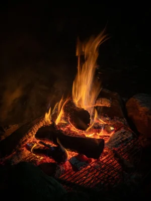 oheň, uhlíky, teplo, plameny, horký, hořet, tábor, kempování, kouř, dřevo