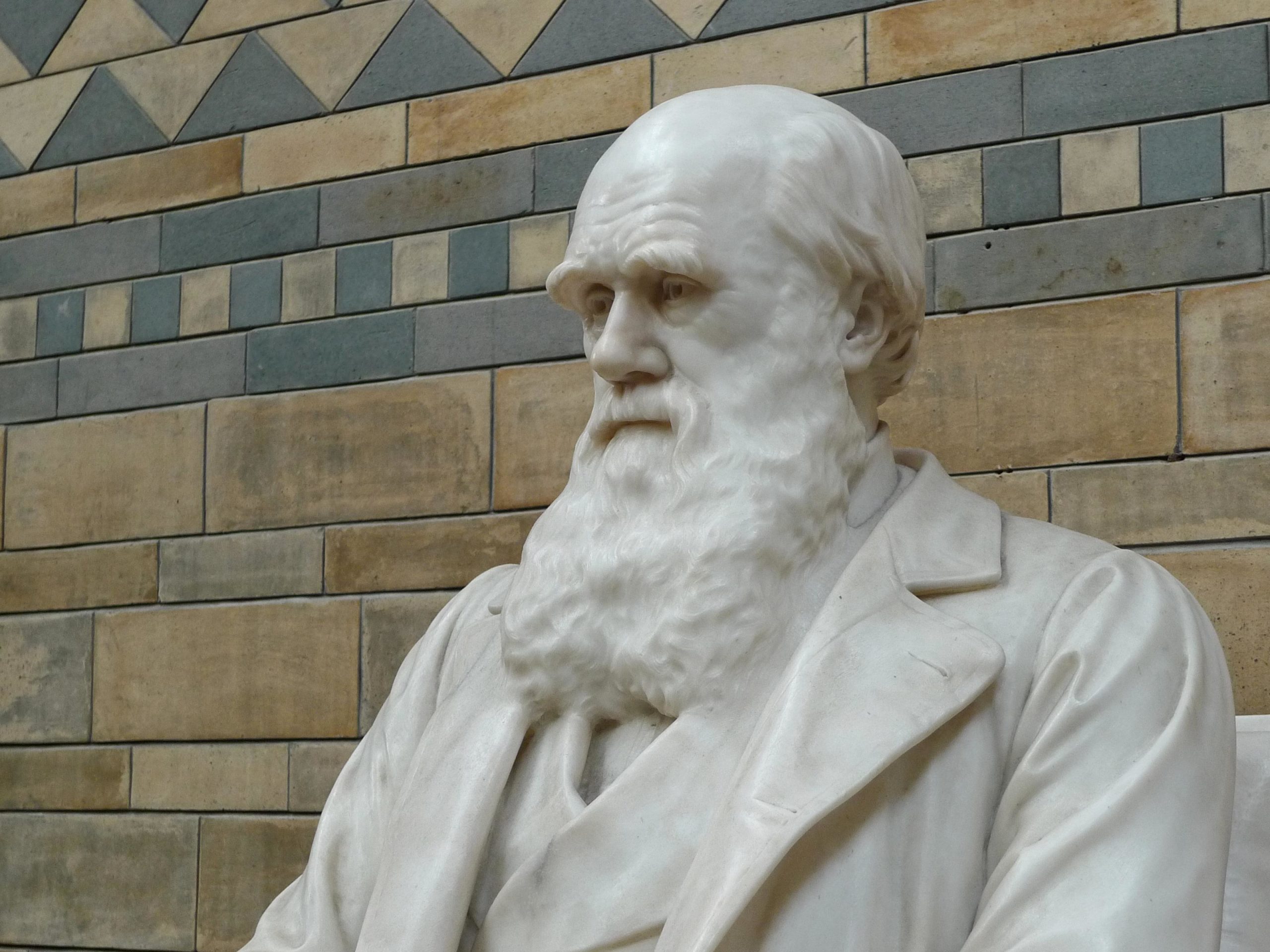 Ruský voják si MacBookem „vylepšil“ zbroj, za smrt získal Darwinovu cenu a ještě pobavil Ukrajinu