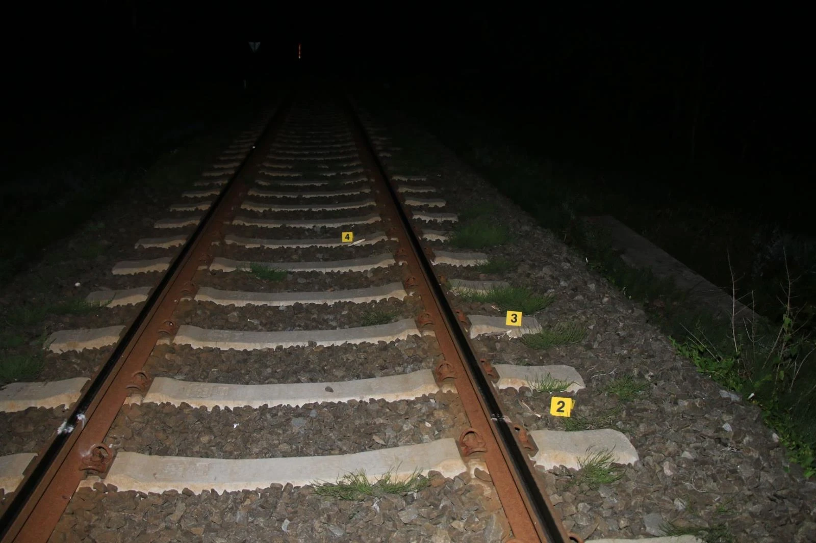 Incident se stal v Chotěvicích na Trutnovsku.